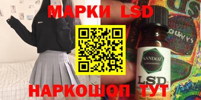 apvp Гатчина