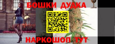 apvp Гатчина